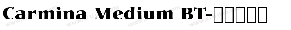 Carmina Medium BT字体转换